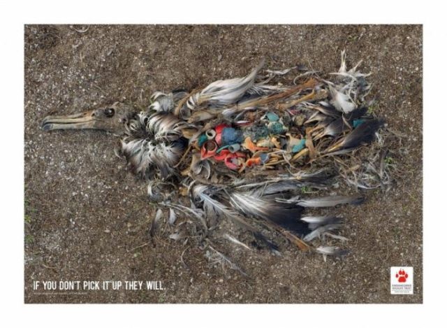 d883ac7cc4adb41fbd16f15fa2fd19cf