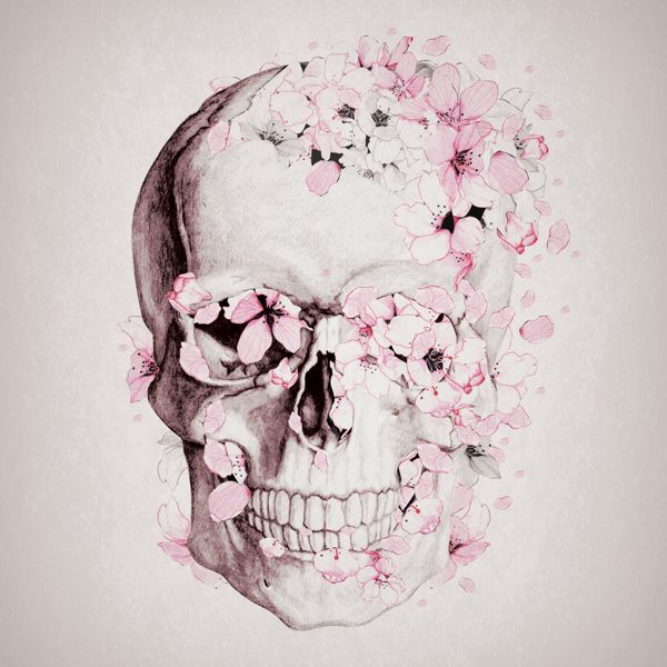 rgb.vn_skull_collection_04