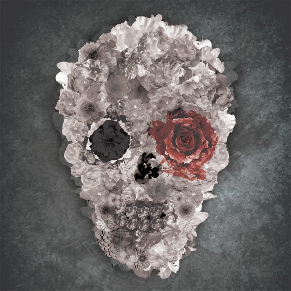 rgb.vn_skull_collection_05