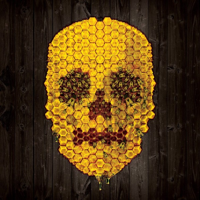 rgb.vn_skull_collection_07