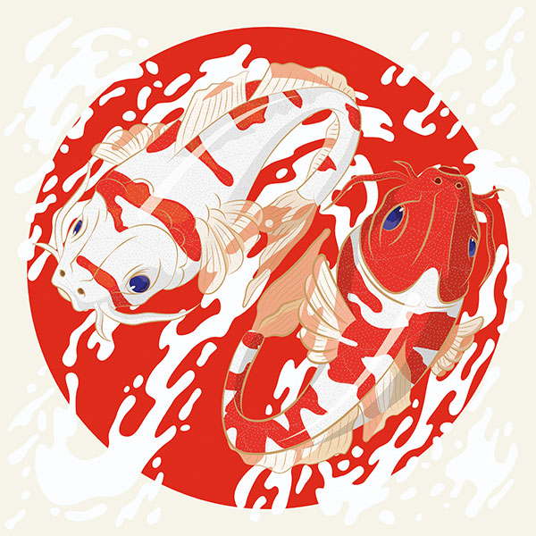 KOI Fishes x Noem9 Studio