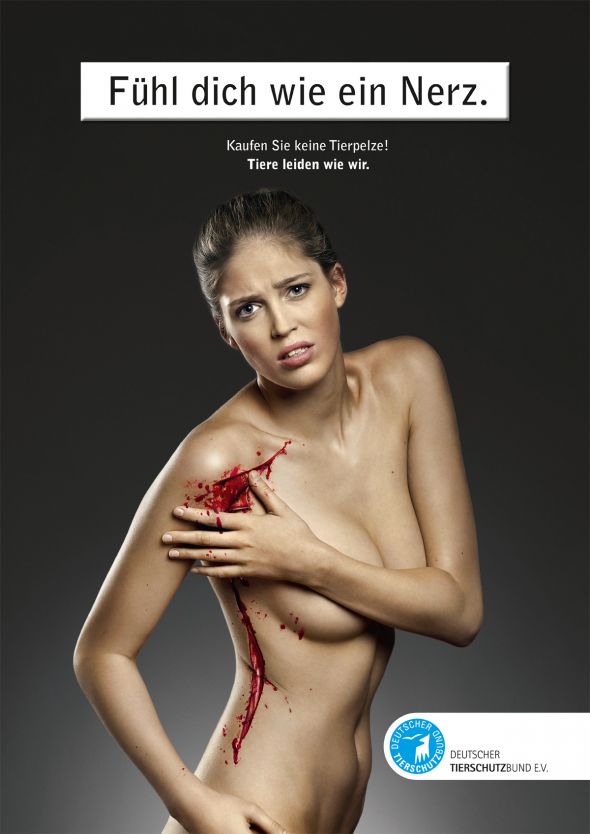 rgb.vn_quangcao_ads_pelzmotiv