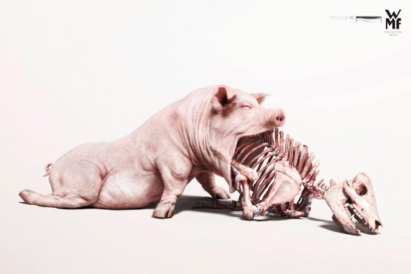 rgb.vn_quangcao_ads_pork_0