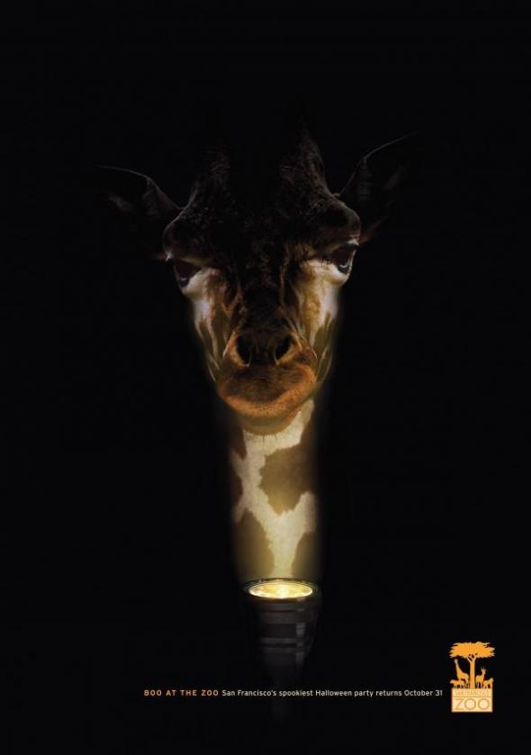 san-francisco-zoo-giraffe-small-60082