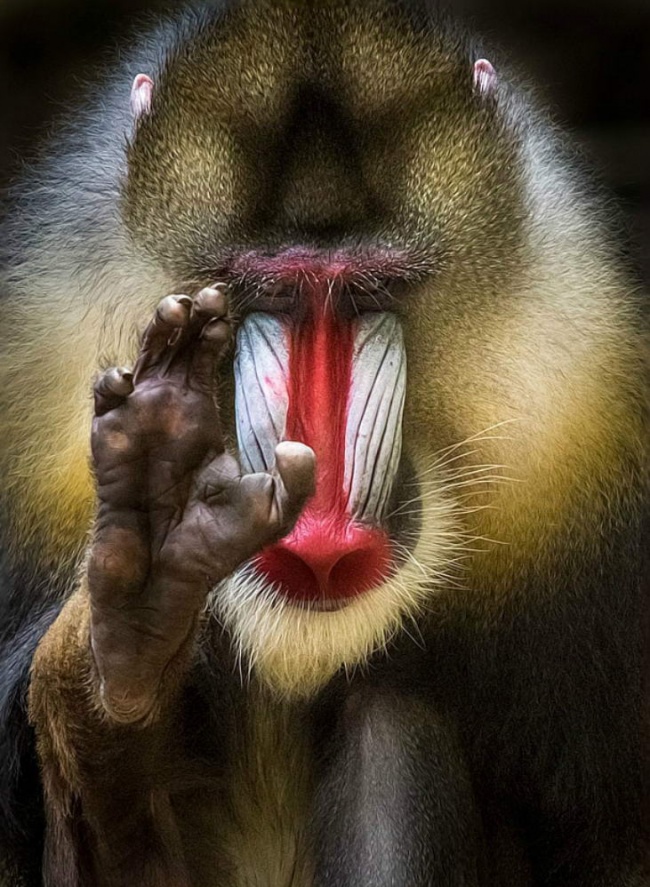 rgb.vn_30_picture_06