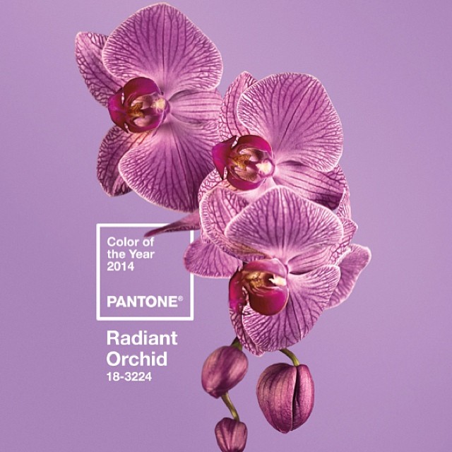 rgb.vn_pantone_05