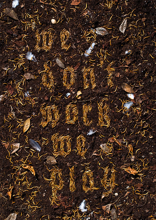 RGB_vn_we_dont_work#9