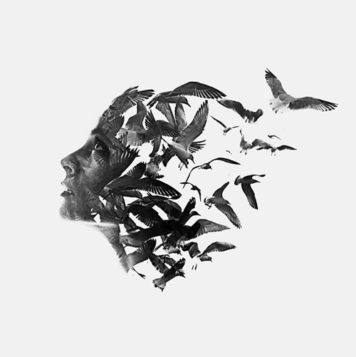 rgb_vn_photo_15-lady-birds