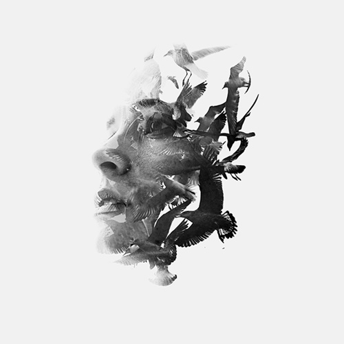 rgb_vn_photo_16-face-birds-double-exposure