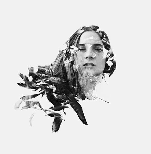 rgb_vn_photo_17-beautiful-glady-birds