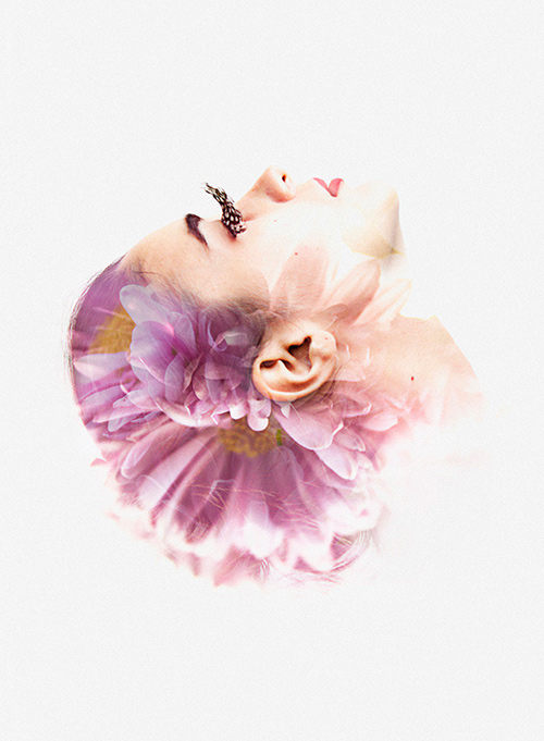 rgb_vn_photo_22-lady-purple-flower