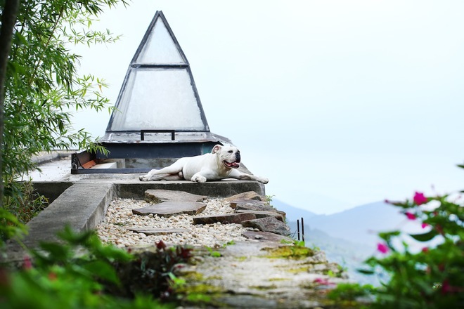 RGB_vn_Nhadep_nha_van#5