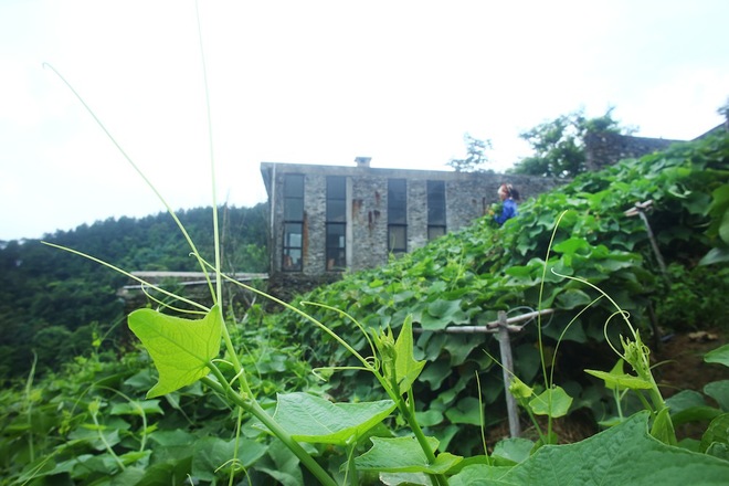 RGB_vn_Nhadep_nha_van#6