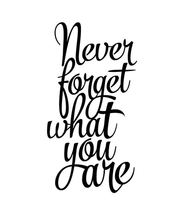 RGB.VN_Jan_Renor Curioso_04