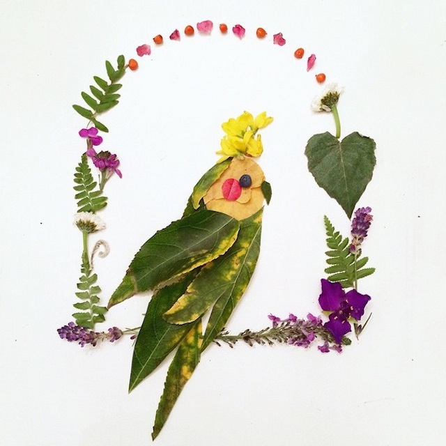 RGB.VN_floraborager-000