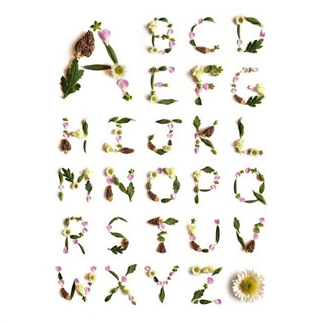 RGB.VN_floraborager-12