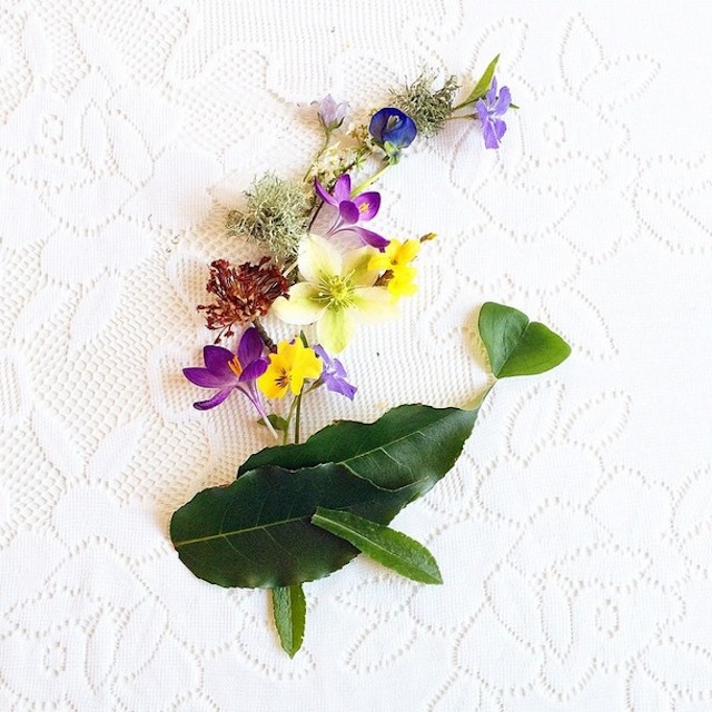 RGB.VN_floraborager-17