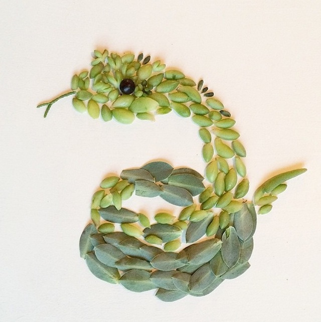 RGB.VN_floraborager-18