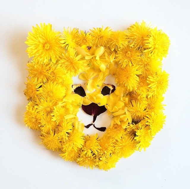 RGB.VN_floraborager-2