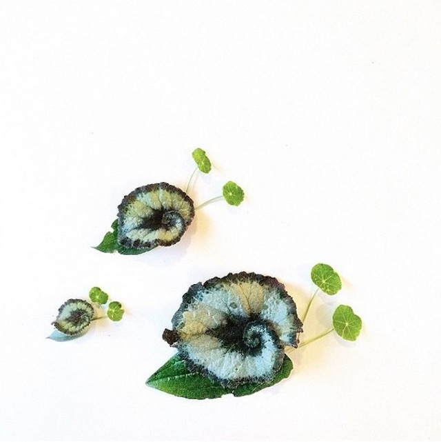 RGB.VN_floraborager-25