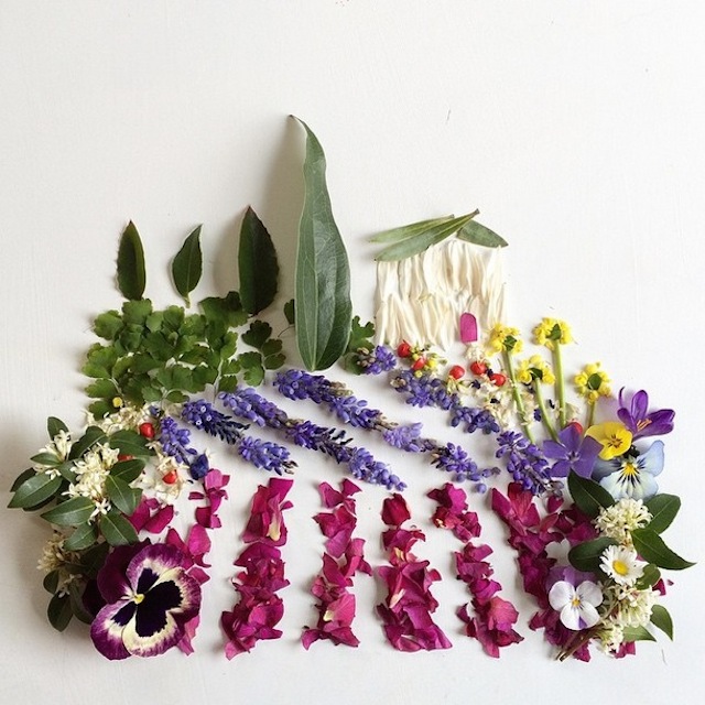 RGB.VN_floraborager-6