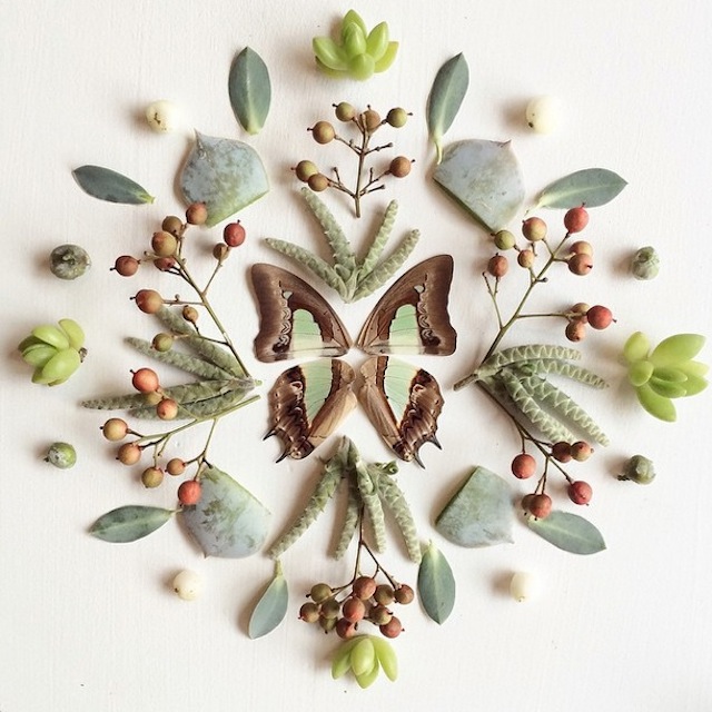 RGB.VN_floraborager-8