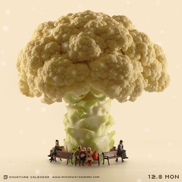 RGB.vn_Tatsuya Tanaka_Snow cover