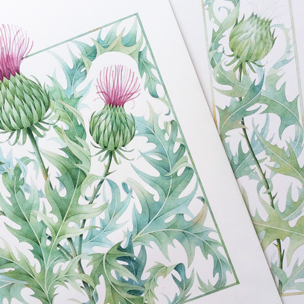 RGB.vn_Thistle - Natalia Tyulkina