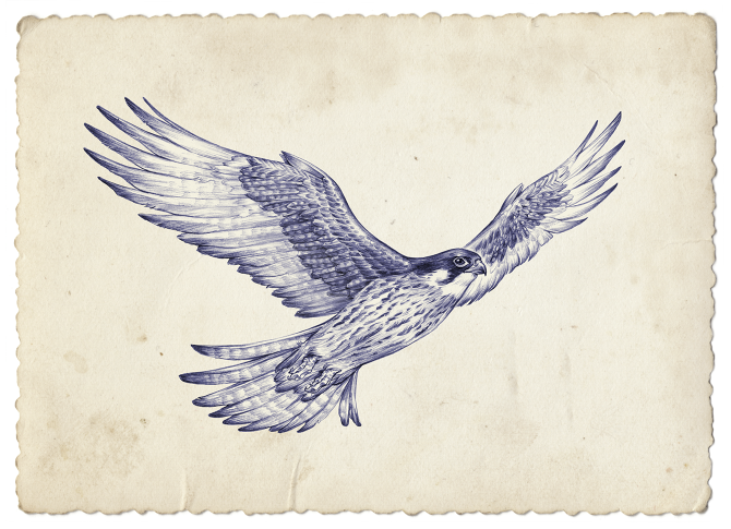 RGB.vn_Migratory birds - Alex Ferreiro