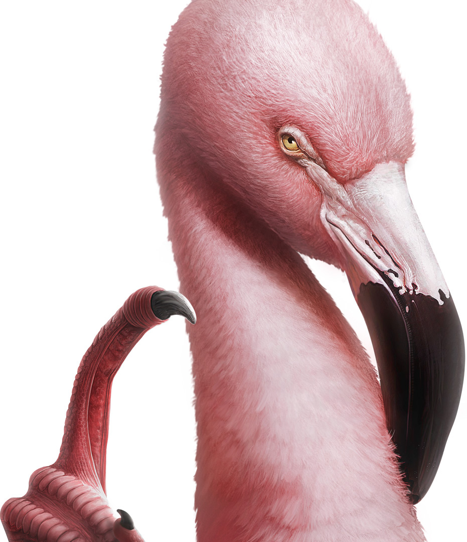 MIAMI AD SCHOOL - DIGITAL 2D ILLUSTRATIONS - Fabio Vido