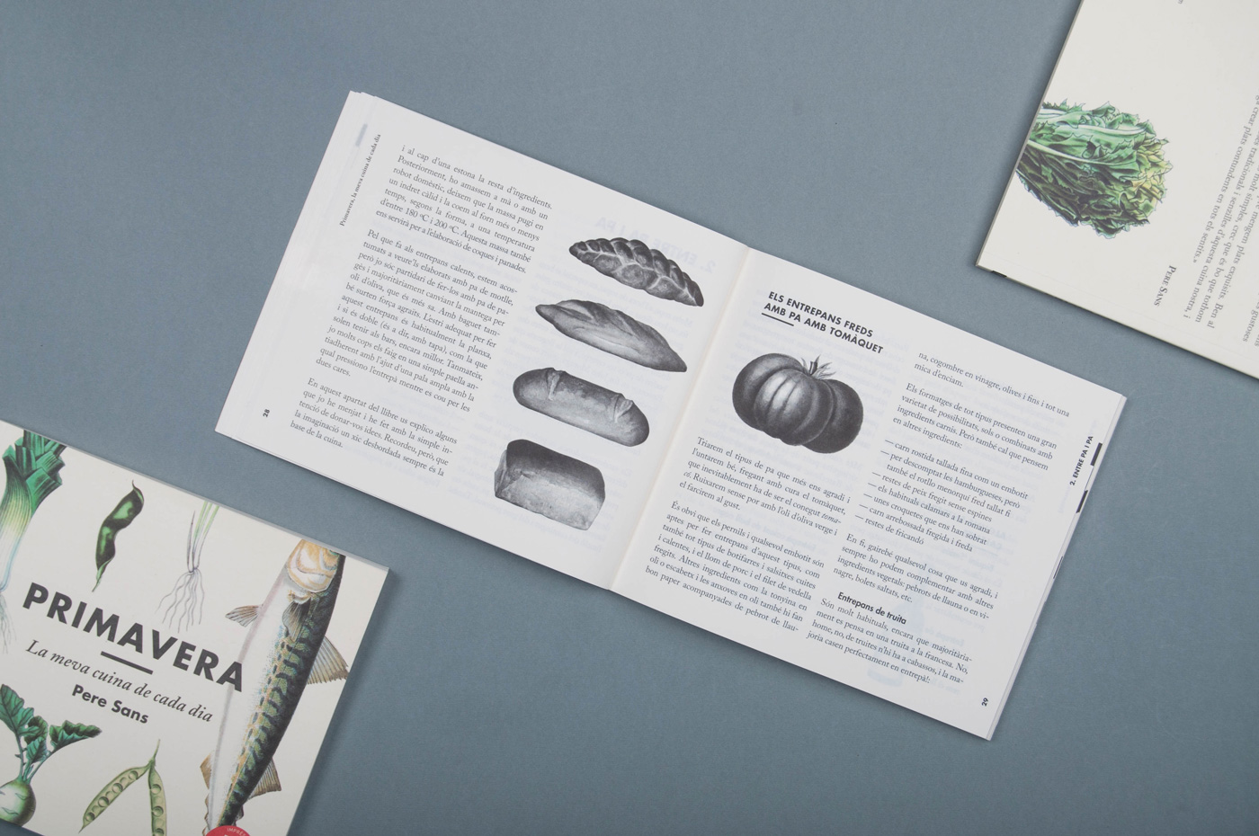 RGB.vn_PRIMAVERA TARDOR - maria mestre vericat