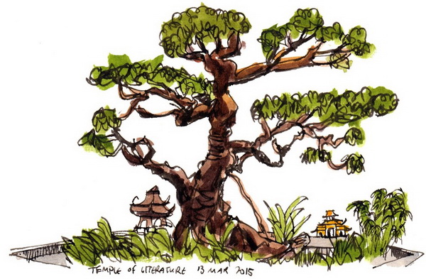 rgb.vn-vietnam-dep-la-duoi-ngoi-but-hoa-si-singapore_31