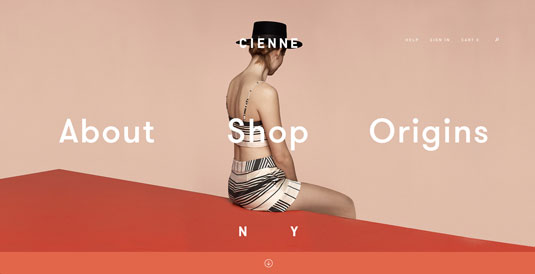 Bản quyền hình ảnh của Cienne