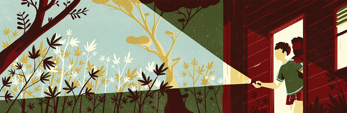 In the grass by Tom Haugomat