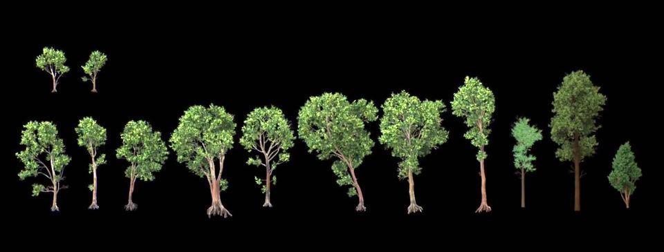 Pixar Đã Tạo Nên Thế Giới Trong The Good Dinosaur Như Thế Nào 07