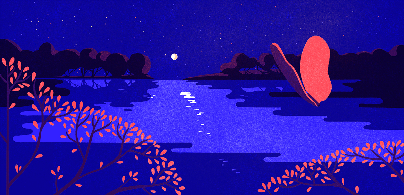 3bb5a331549303.5655a134739df