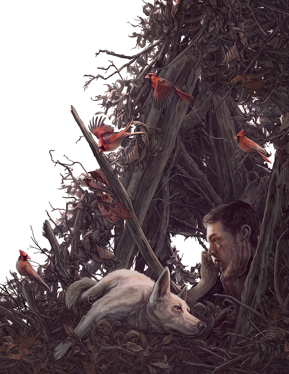 52bee825758839.5634a4bd05da2