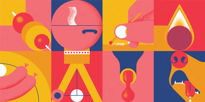 8e828126996043.5635ed0eaf3d7