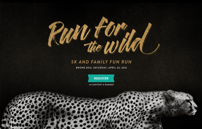 rgb.vn_cach-phoi-hop-nhuan-nhuyen-chu-va-hinh-anh-trong-thiet-ke_28