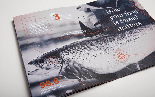 rgb.vn_cach-phoi-hop-nhuan-nhuyen-chu-va-hinh-anh-trong-thiet-ke_30