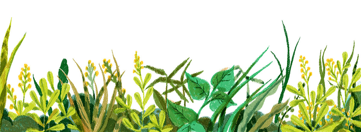 2efc3c29967421.560c8da0904a5