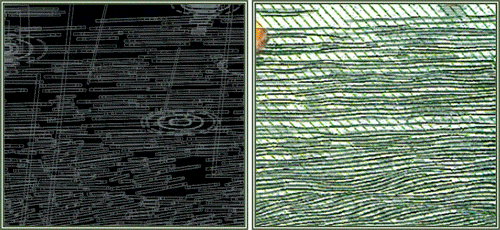 85fa2e35367939.56f947bbbcf55