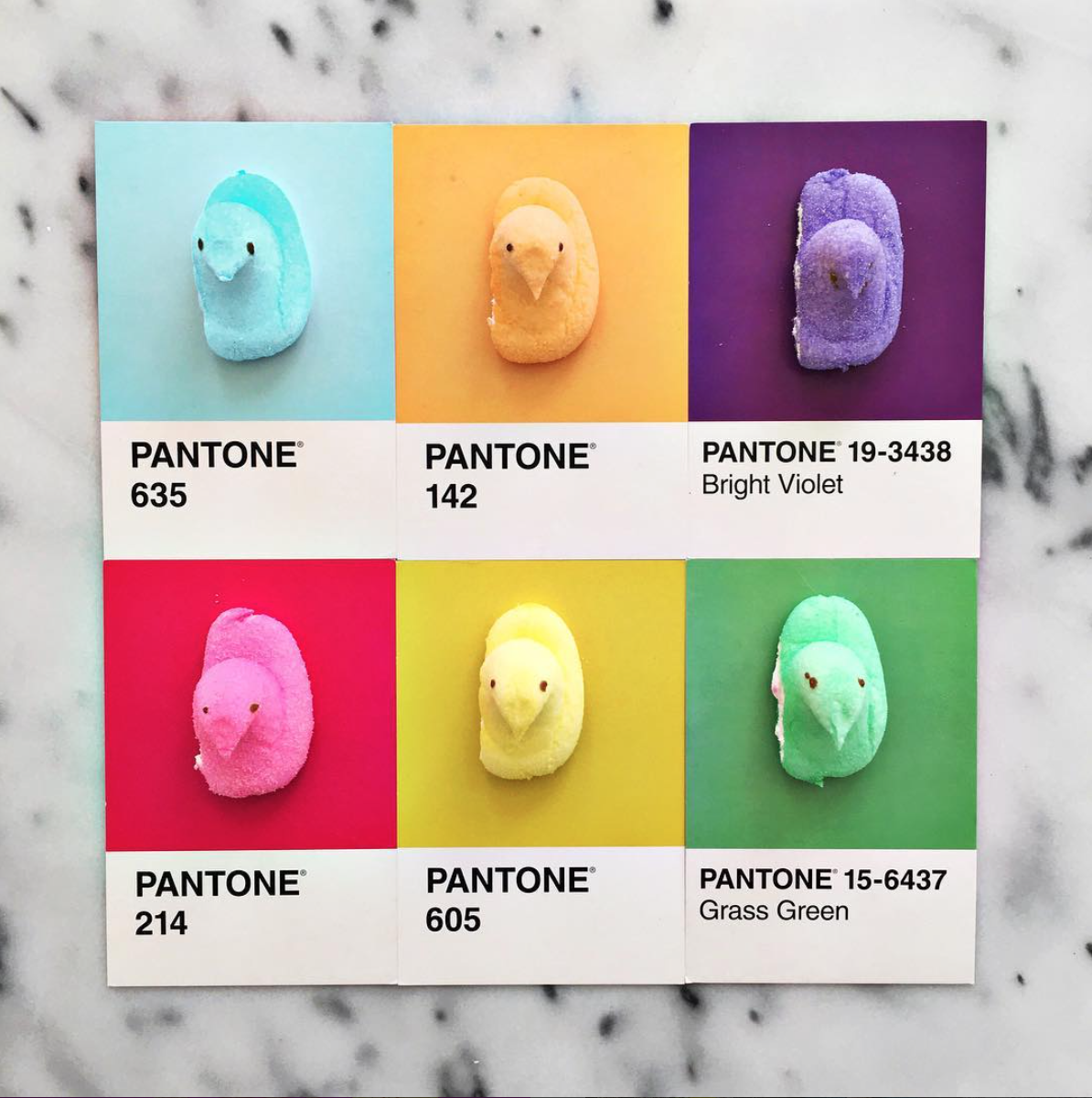 rgb_food_pantone_lucy_02