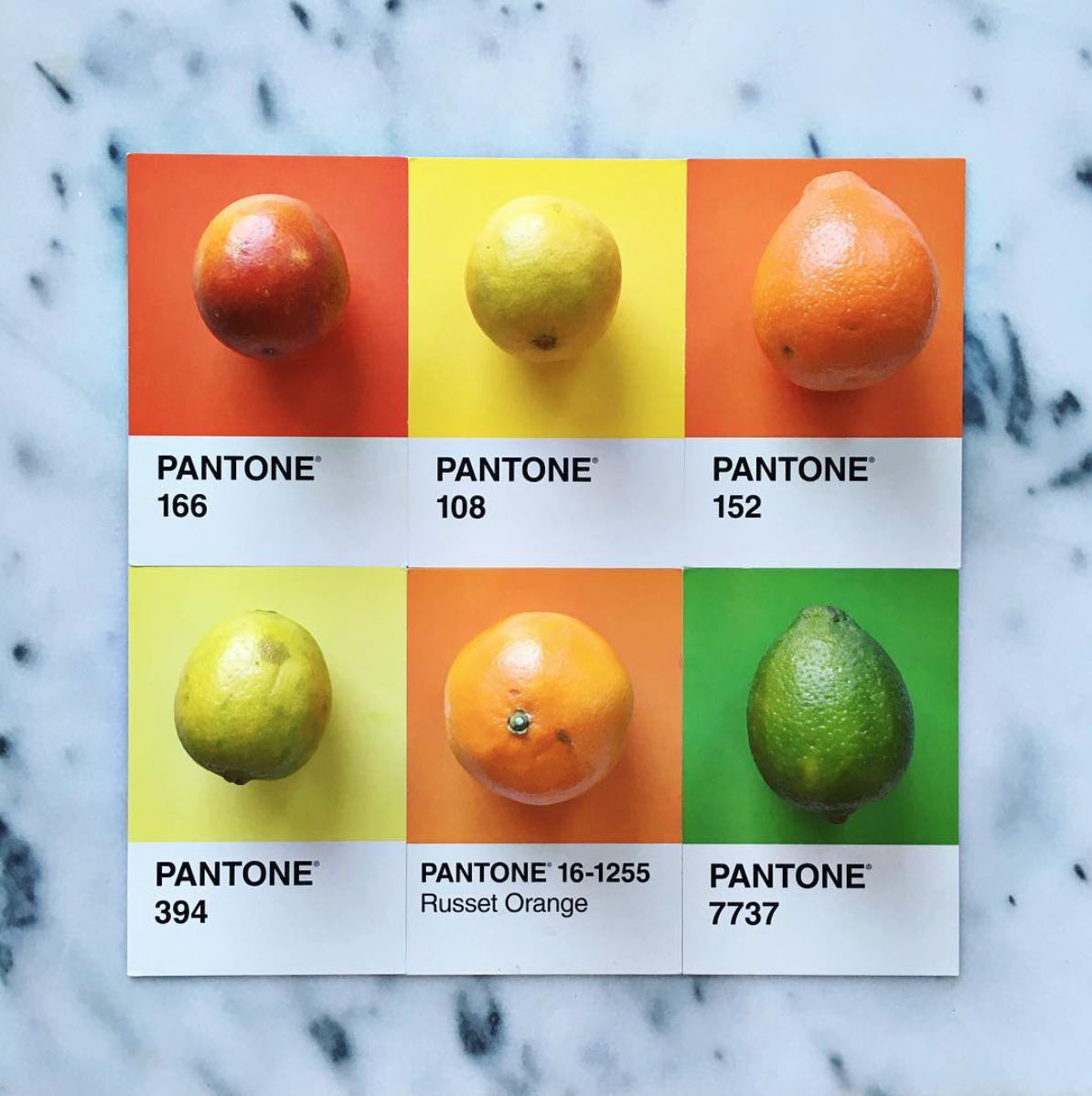 rgb_food_pantone_lucy_03