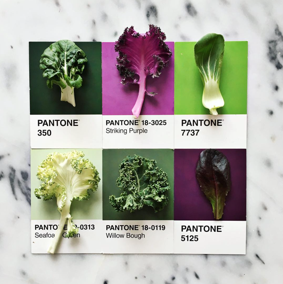 rgb_food_pantone_lucy_06