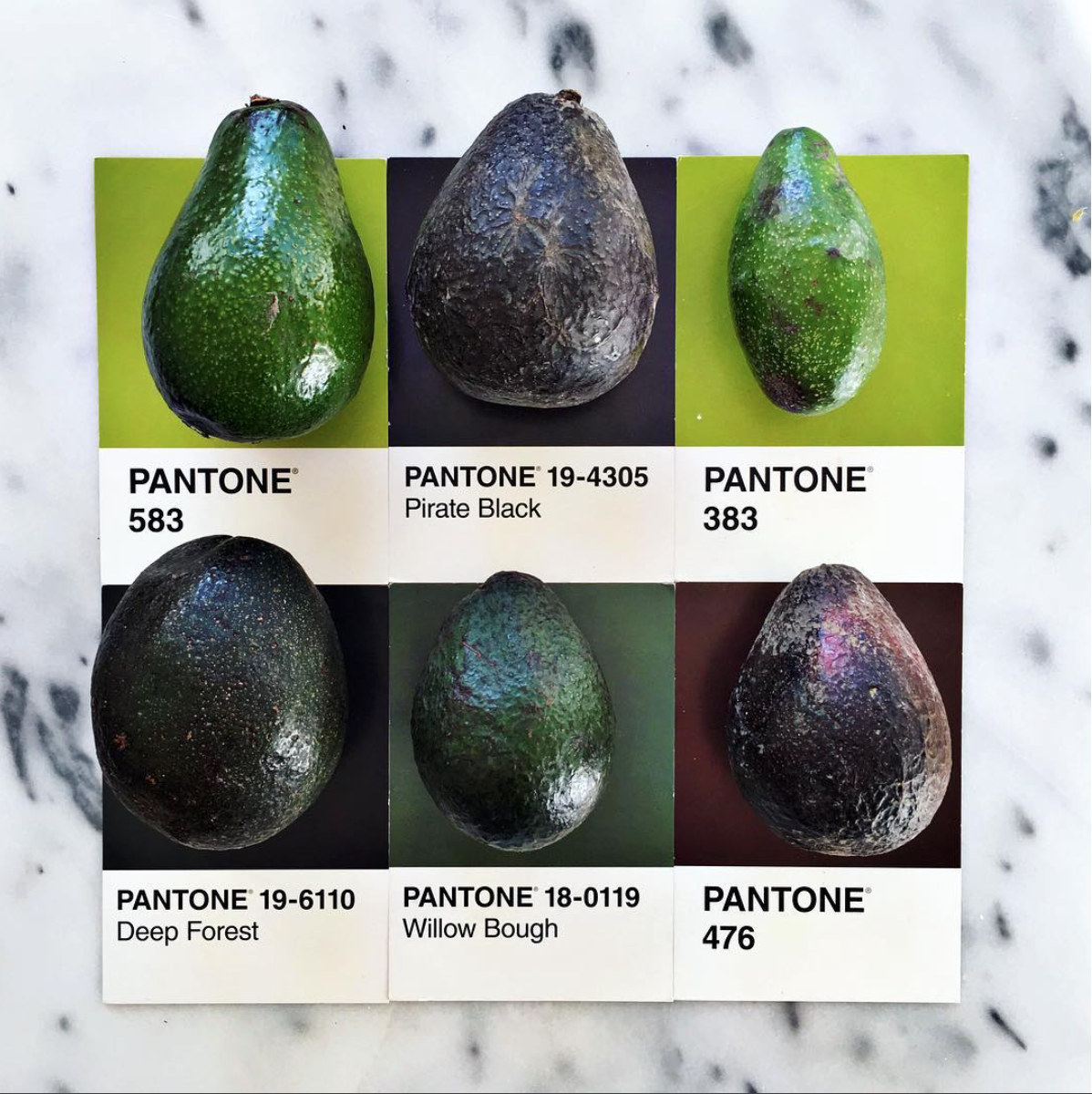 rgb_food_pantone_lucy_08