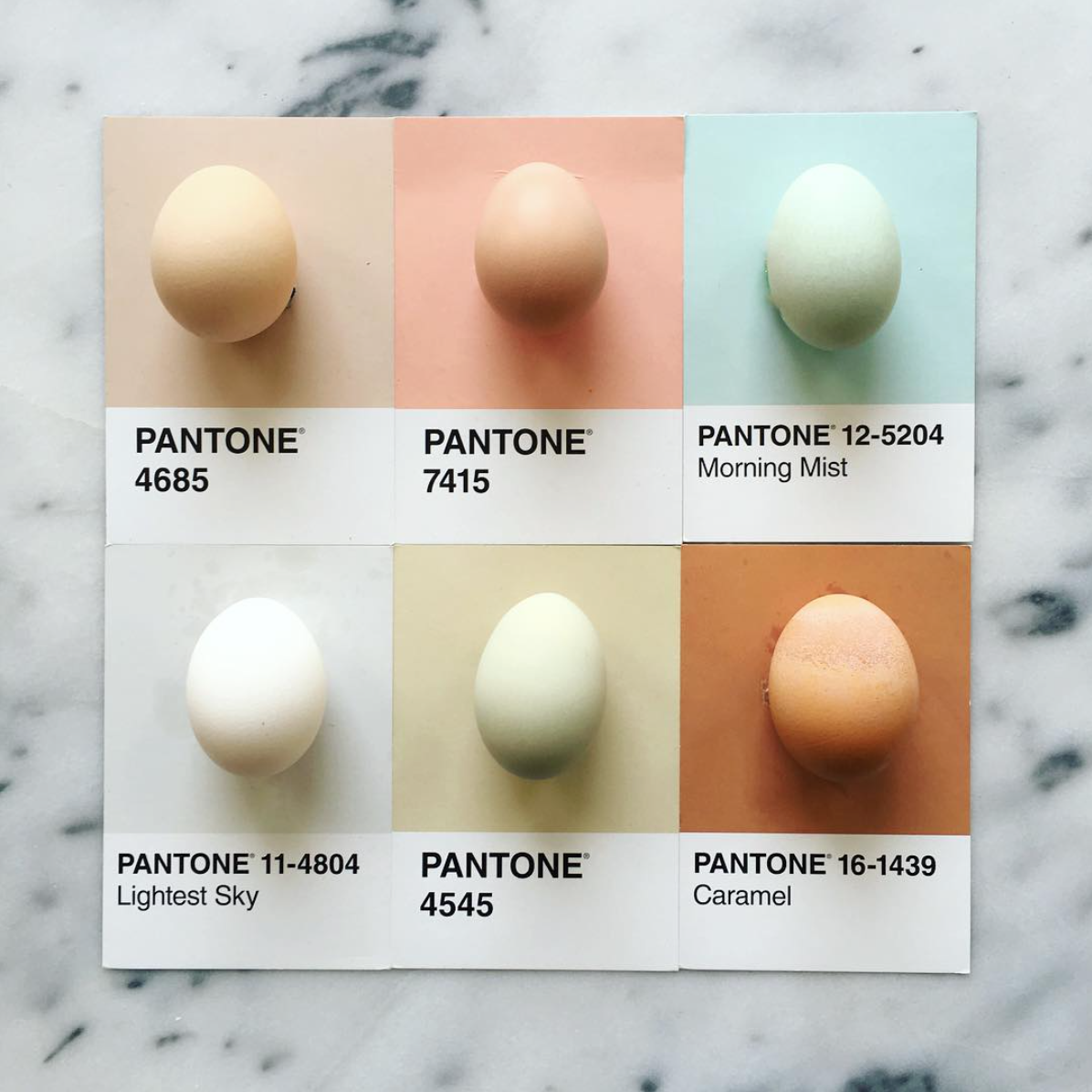 rgb_food_pantone_lucy_09
