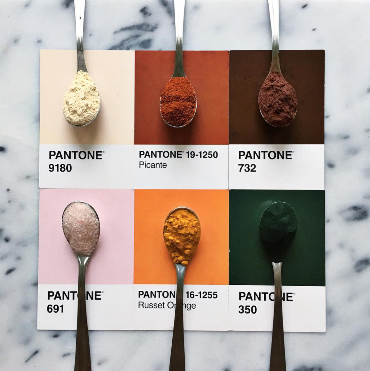 rgb_food_pantone_lucy_10