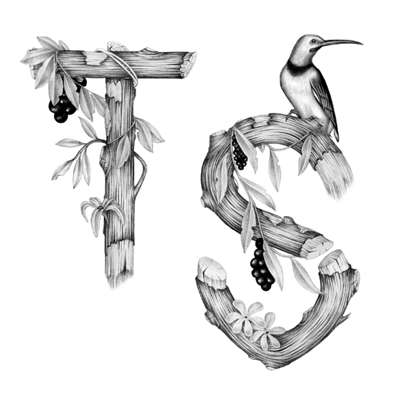 Tropical alphabet