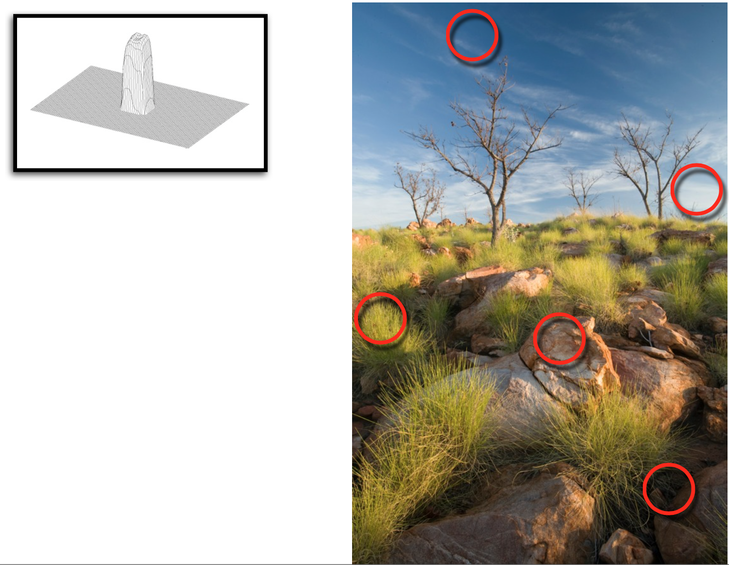 rgb.vn_hoc-chup-anh-bai-huong-dan-tong-quat-tu-A-Z-cua-national-geographic_17